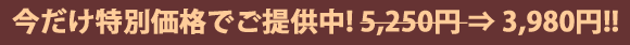 �T�Q�T�O�~���R�X�W�O�~�̓��ʉ��i�ł���
