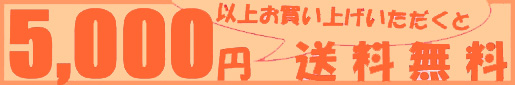 送料無料サービス